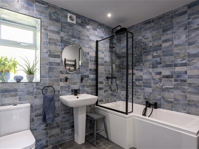 Picture 17